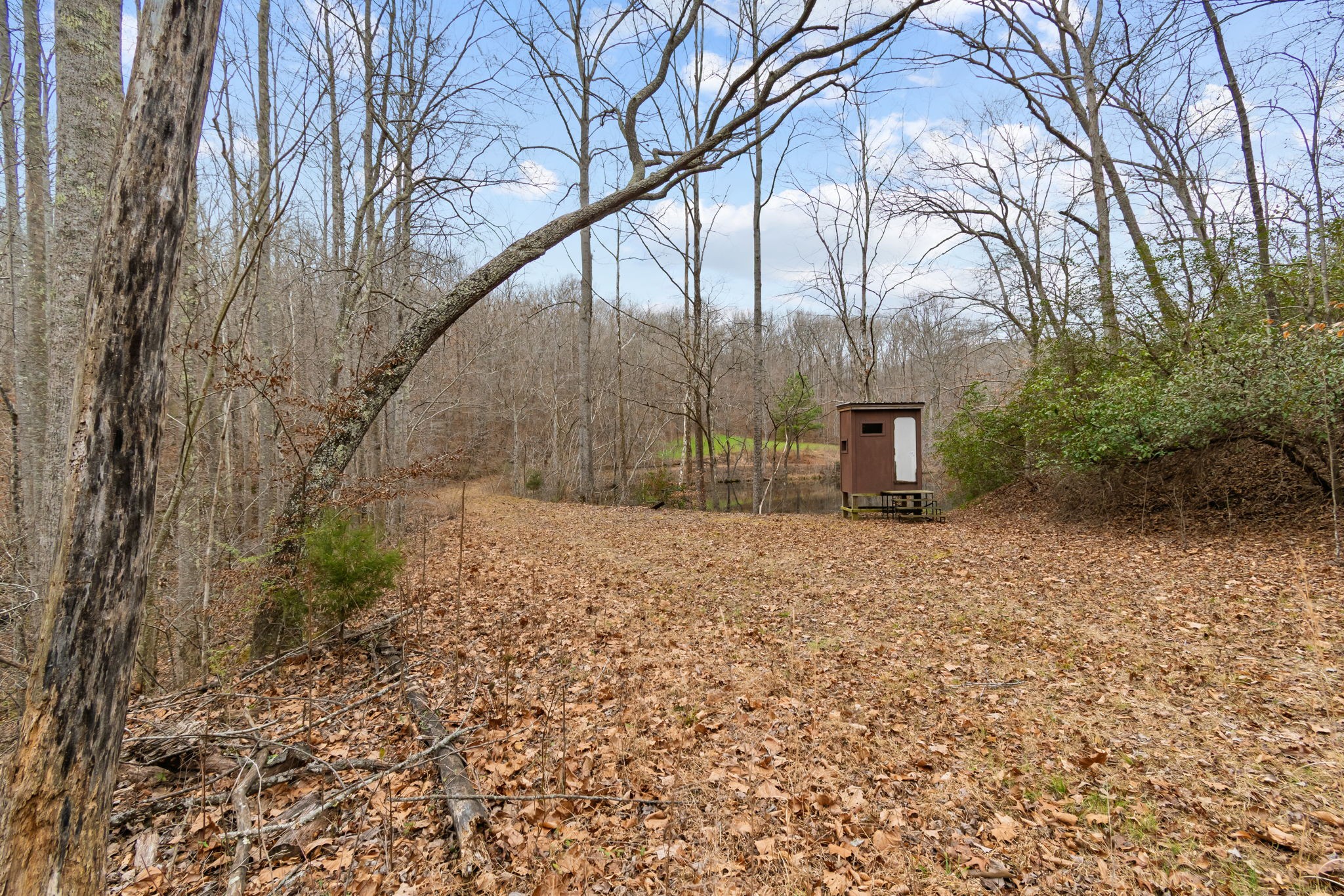 942 Rockhouse Road Hohenwald, TN 38462 - Photo 23 of 68