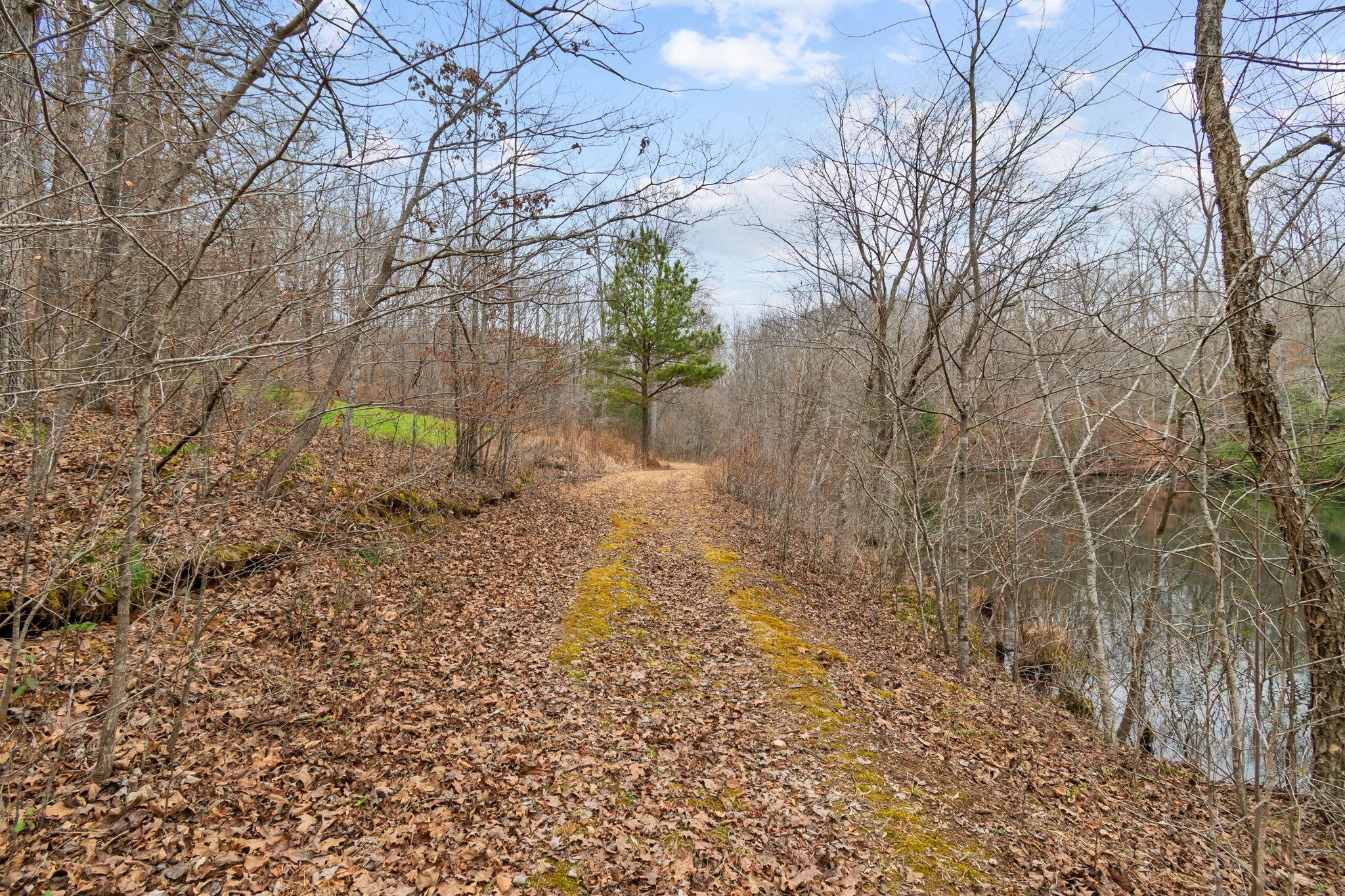 942 Rockhouse Road Hohenwald, TN 38462 - Photo 25 of 68