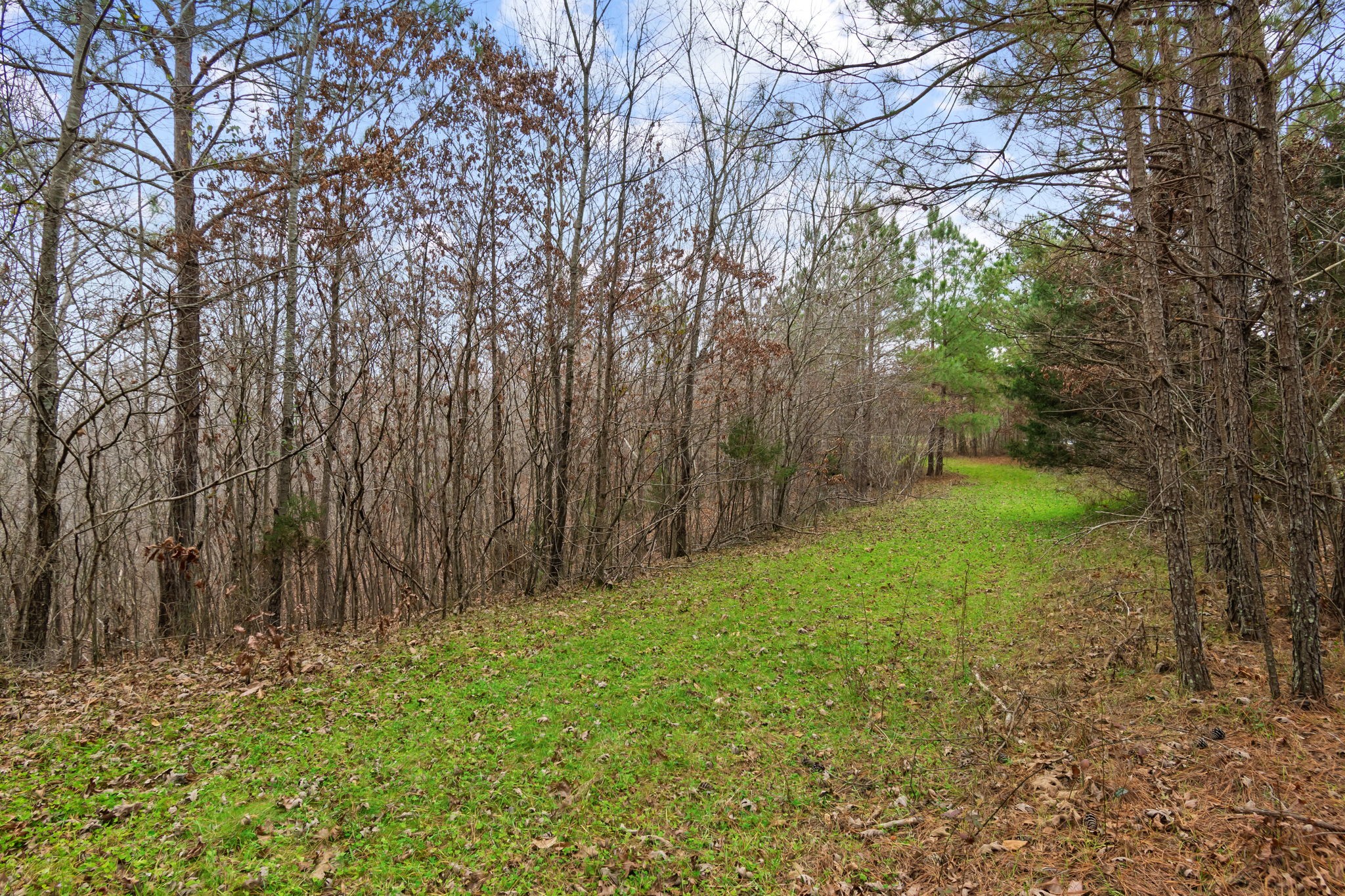 942 Rockhouse Road Hohenwald, TN 38462 - Photo 27 of 68