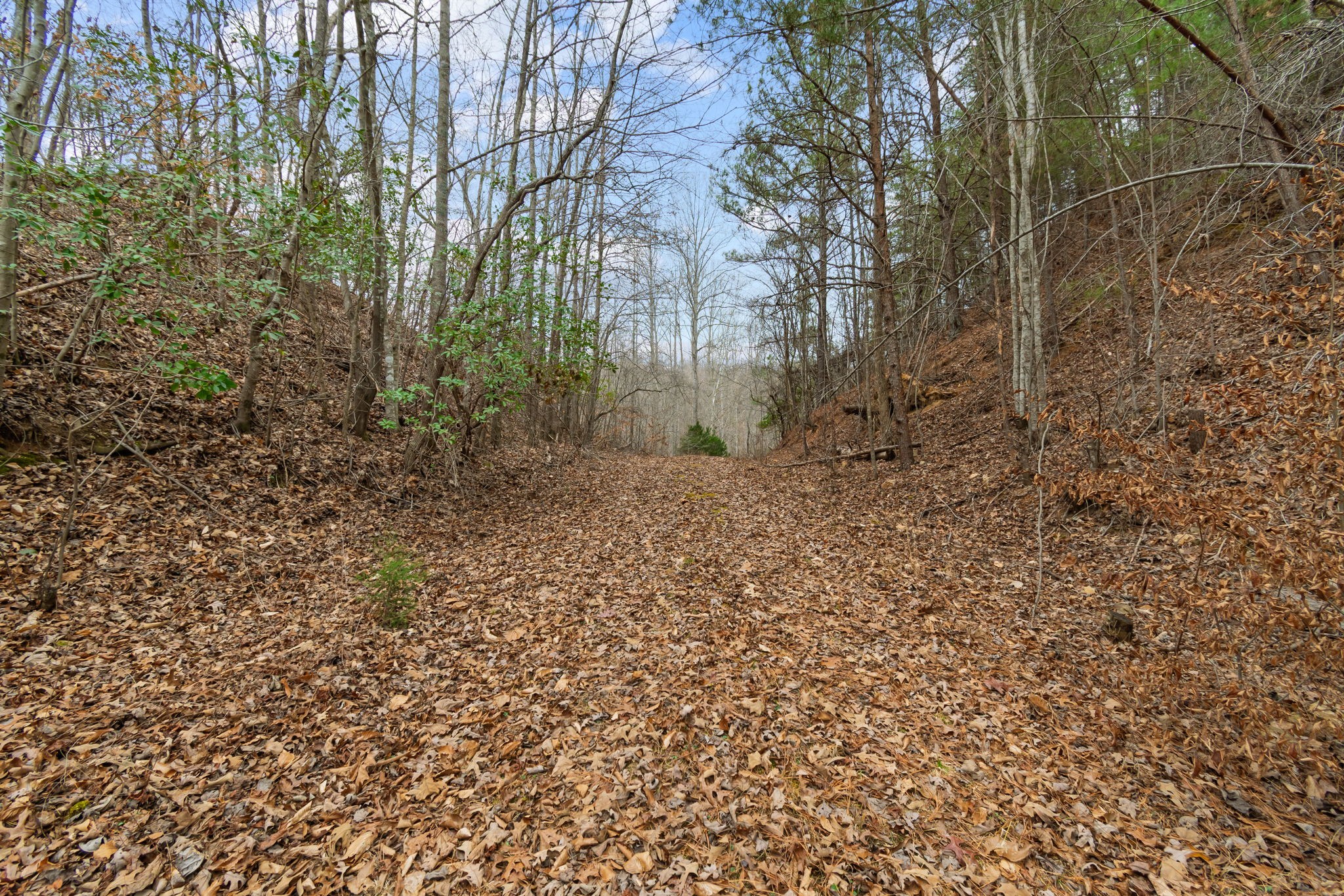 942 Rockhouse Road Hohenwald, TN 38462 - Photo 28 of 68