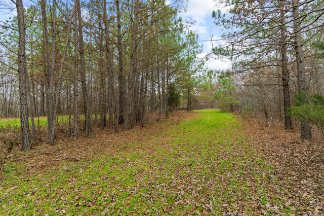 $635,000 | 942 Rockhouse Road, Hohenwald, TN 38462