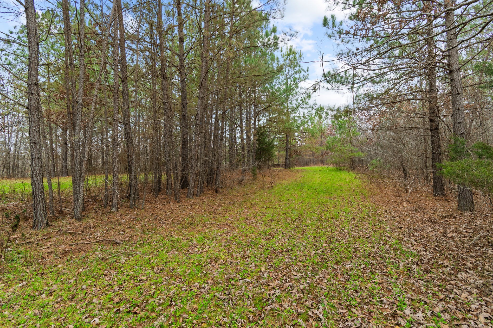 942 Rockhouse Road Hohenwald, TN 38462 - Photo 29 of 68