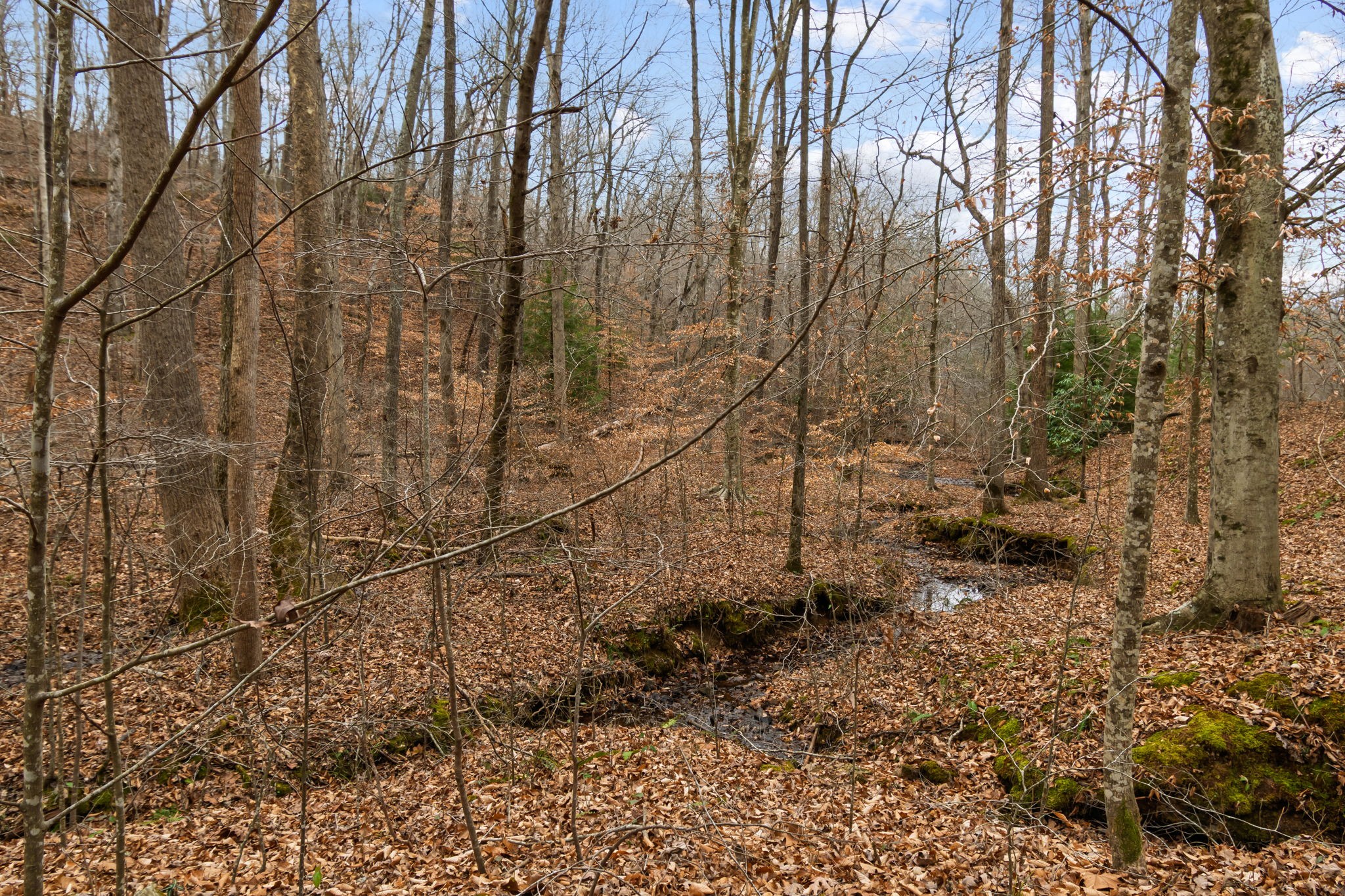 942 Rockhouse Road Hohenwald, TN 38462 - Photo 30 of 68