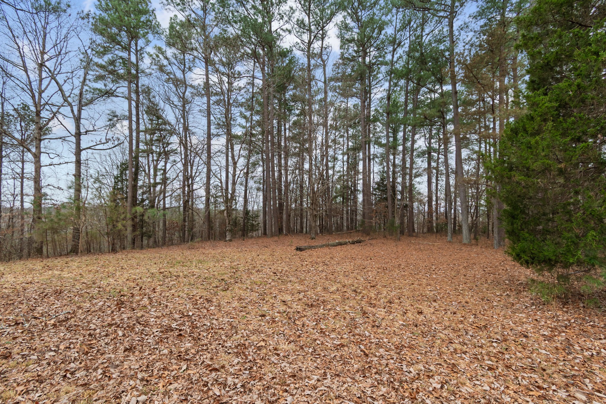 942 Rockhouse Road Hohenwald, TN 38462 - Photo 31 of 68