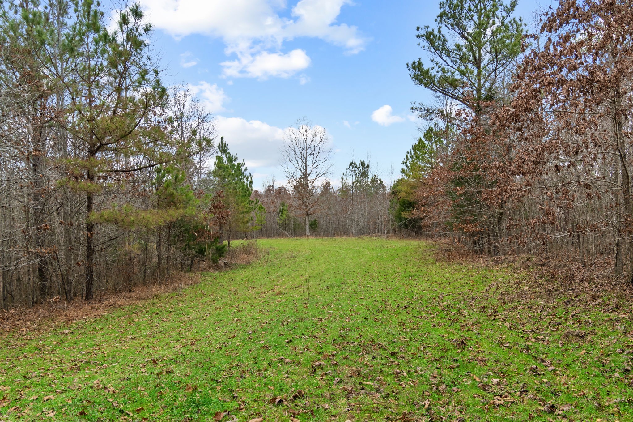 942 Rockhouse Road Hohenwald, TN 38462 - Photo 32 of 68