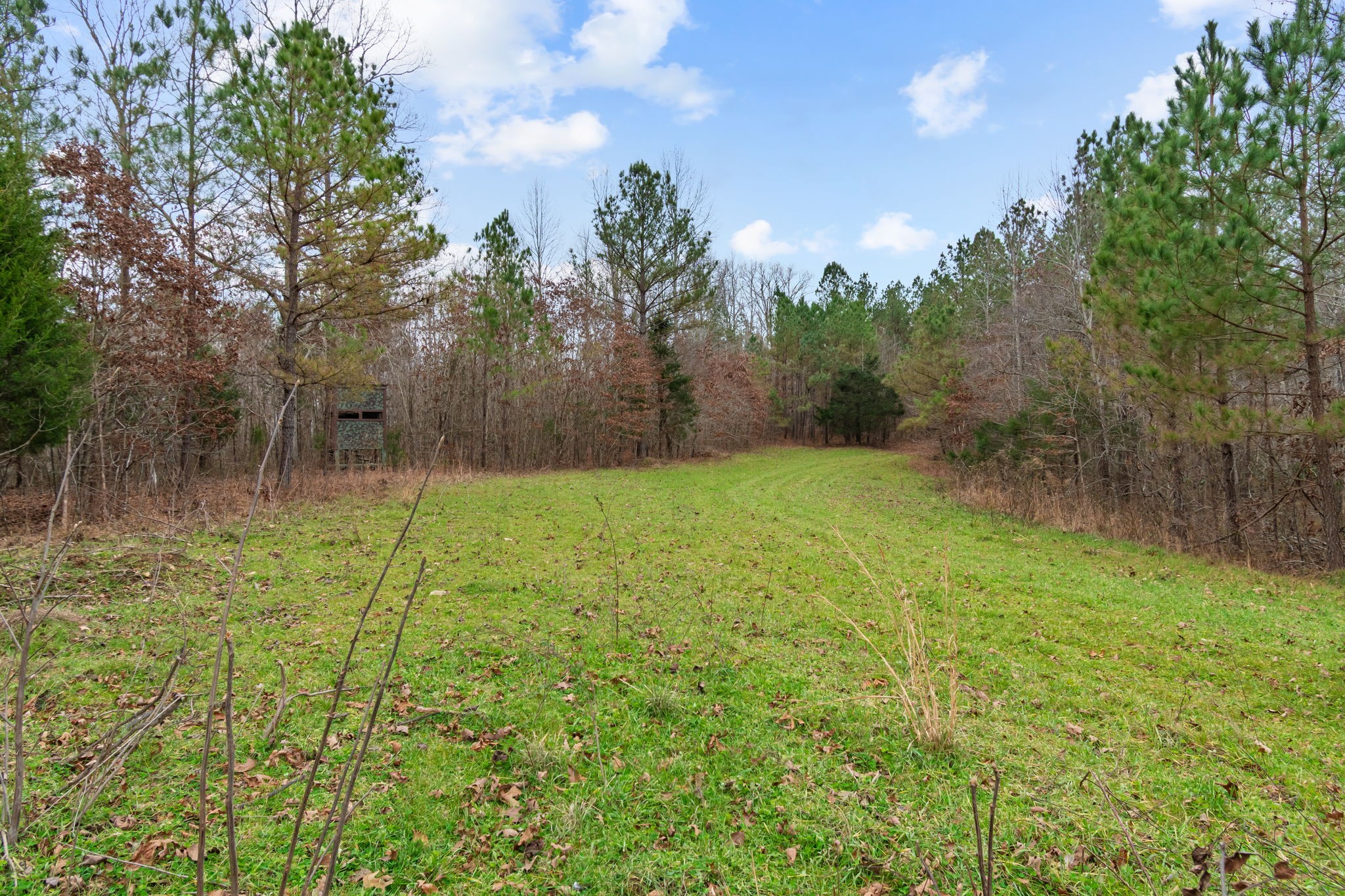 942 Rockhouse Road Hohenwald, TN 38462 - Photo 34 of 68