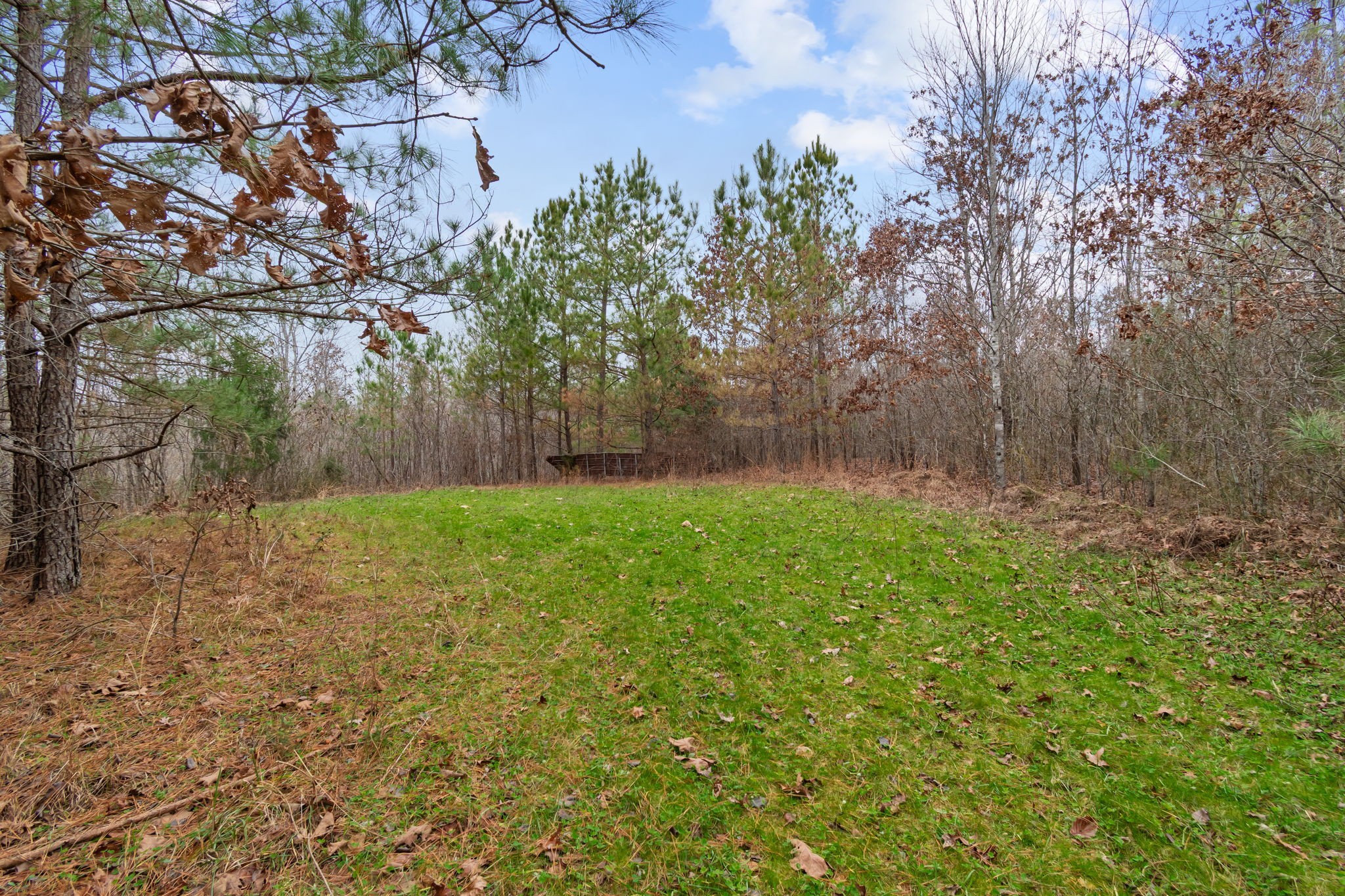 942 Rockhouse Road Hohenwald, TN 38462 - Photo 37 of 68