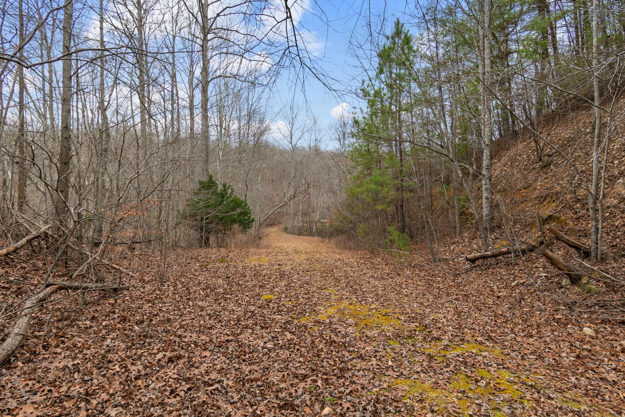 942 Rockhouse Road Hohenwald, TN 38462 - Photo 39 of 68