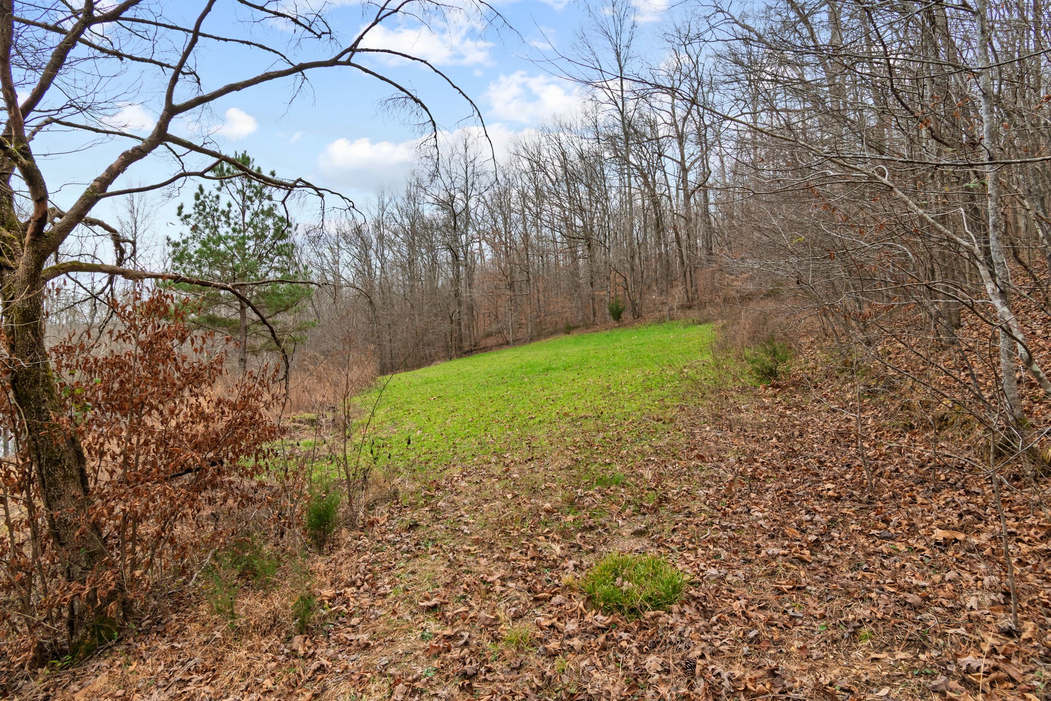 942 Rockhouse Road Hohenwald, TN 38462 - Photo 41 of 68