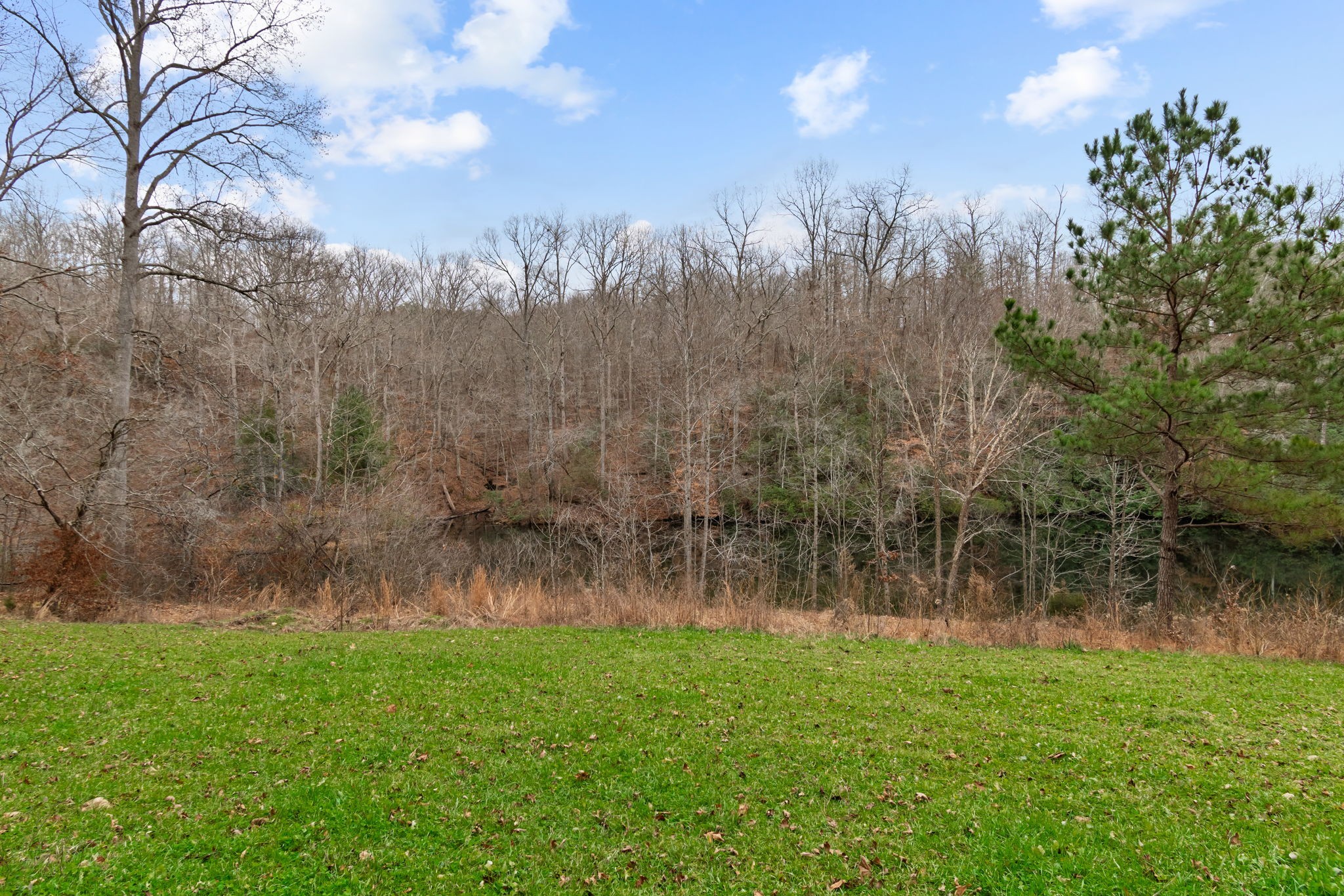 942 Rockhouse Road Hohenwald, TN 38462 - Photo 42 of 68