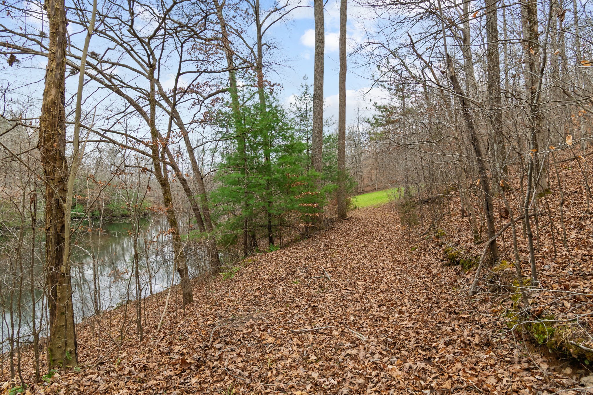 942 Rockhouse Road Hohenwald, TN 38462 - Photo 43 of 68