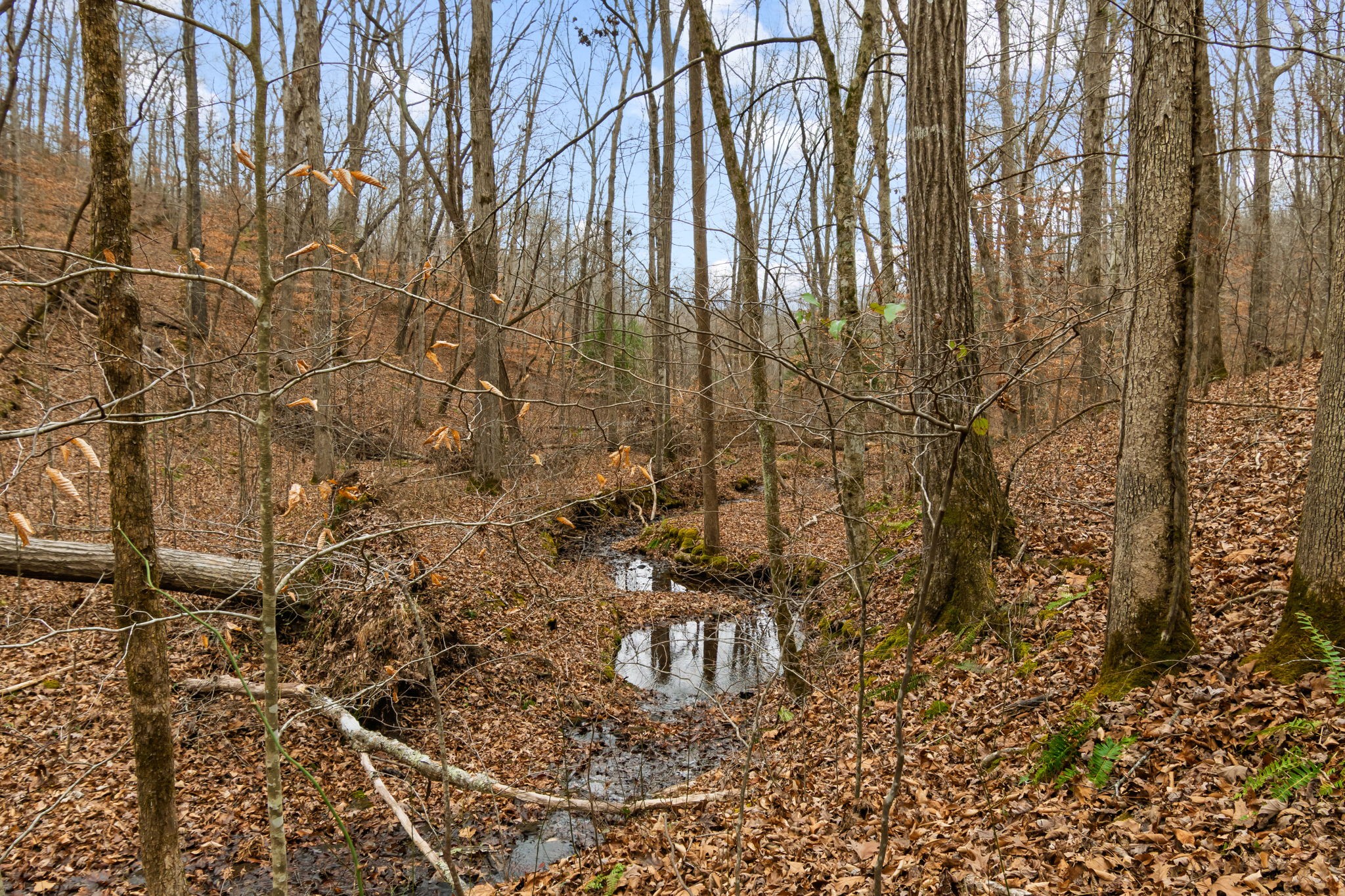 942 Rockhouse Road Hohenwald, TN 38462 - Photo 47 of 68