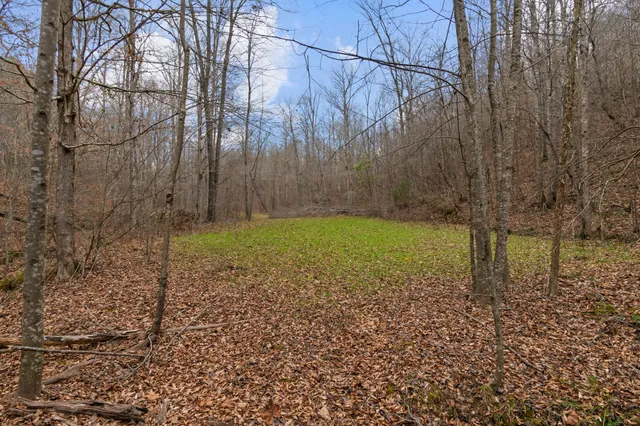 $635,000 | 942 Rockhouse Road, Hohenwald, TN 38462