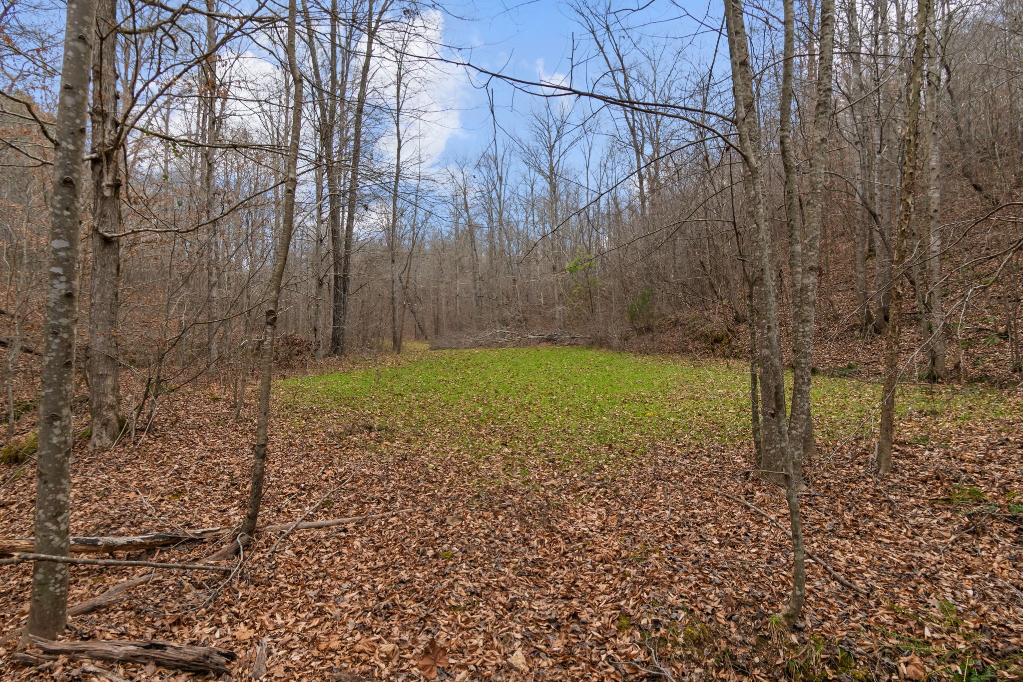 942 Rockhouse Road Hohenwald, TN 38462 - Photo 49 of 68