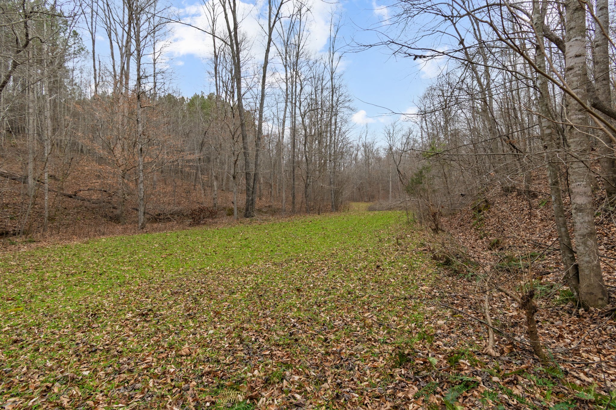 942 Rockhouse Road Hohenwald, TN 38462 - Photo 50 of 68