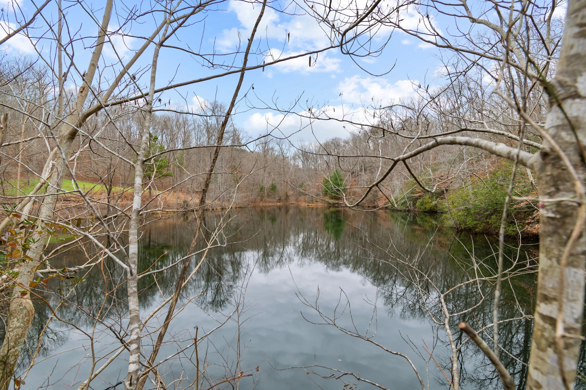 942 Rockhouse Road Hohenwald, TN 38462 - Photo 5 of 68
