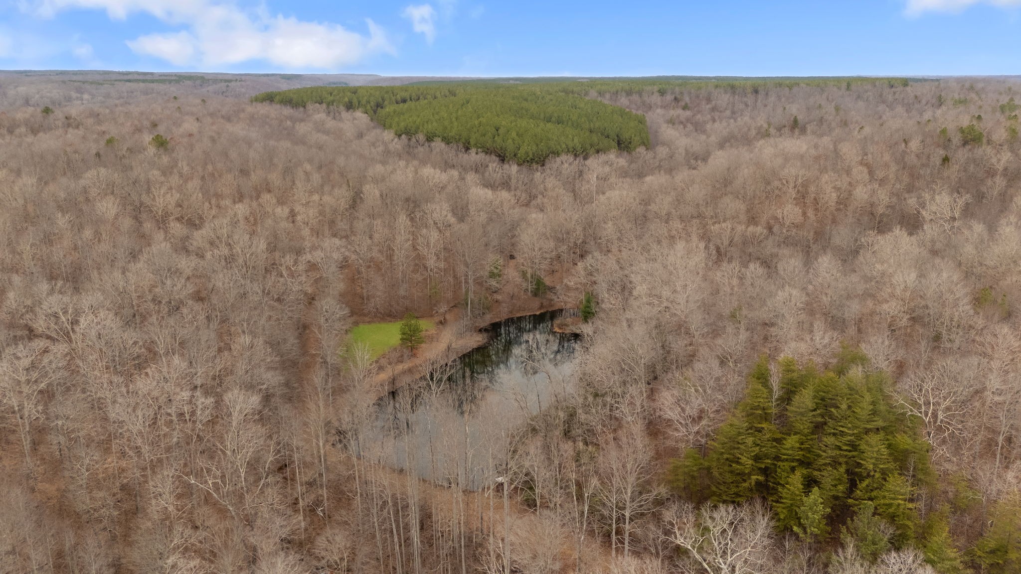 942 Rockhouse Road Hohenwald, TN 38462 - Photo 51 of 68