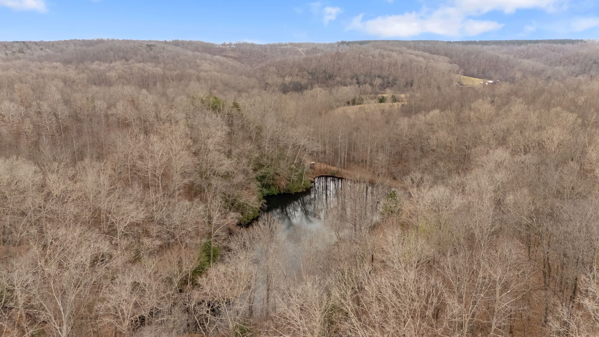 942 Rockhouse Road Hohenwald, TN 38462 - Photo 54 of 68