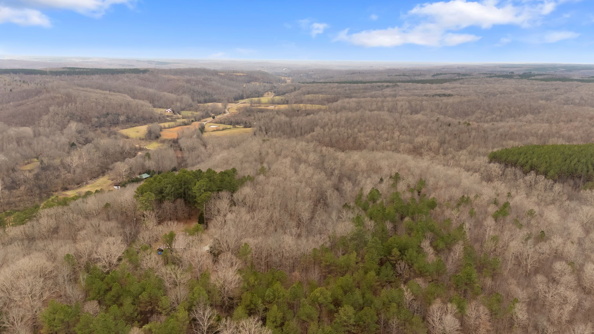 942 Rockhouse Road Hohenwald, TN 38462 - Photo 61 of 68