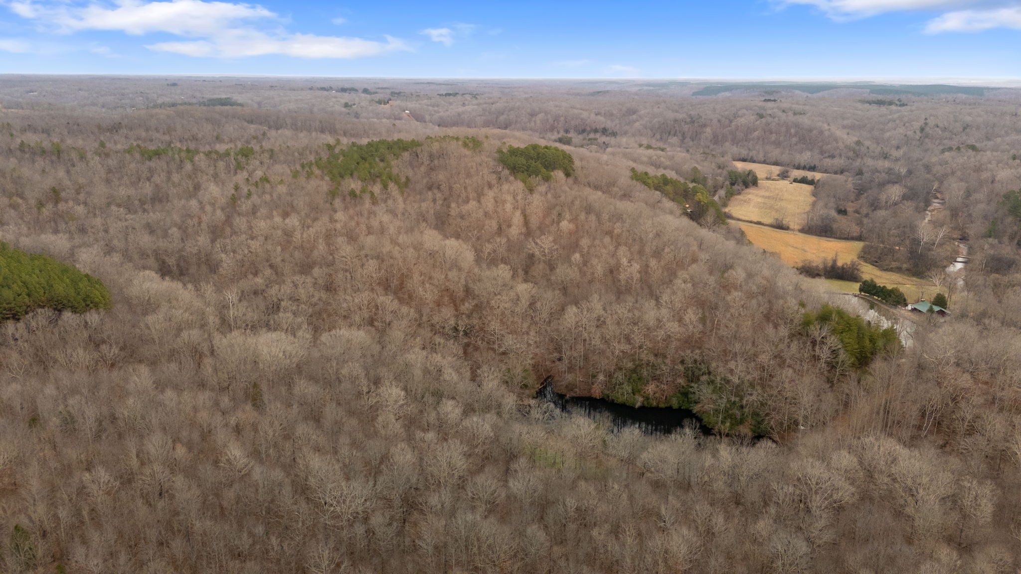 942 Rockhouse Road Hohenwald, TN 38462 - Photo 66 of 68