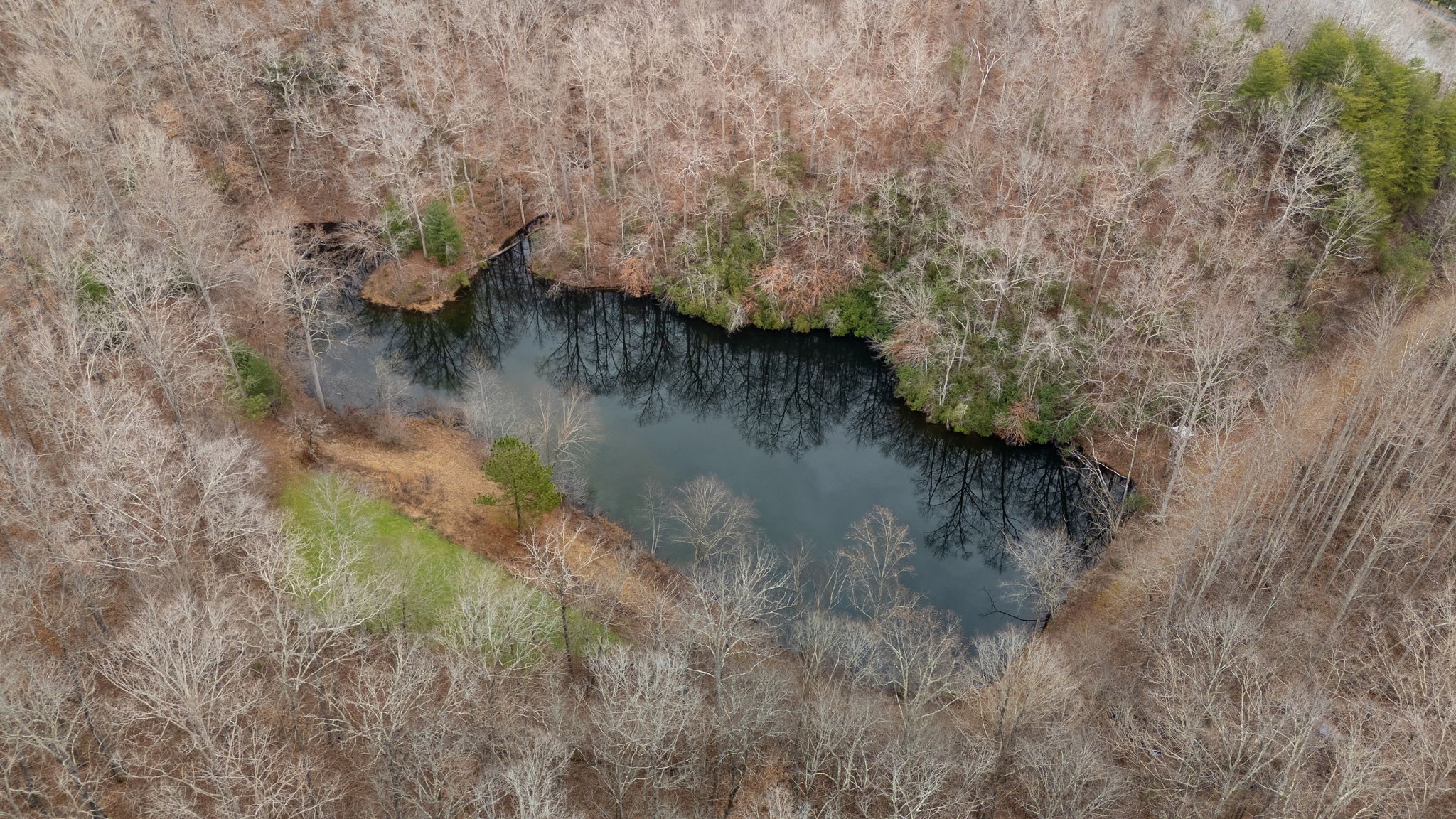 942 Rockhouse Road Hohenwald, TN 38462 - Photo 68 of 68