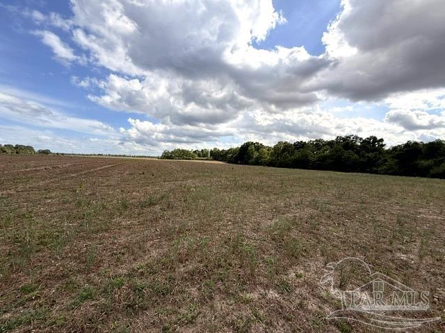 Lot 2-3 Tungoil Road Walnut Hill, FL 32568 - Photo 8 of 11