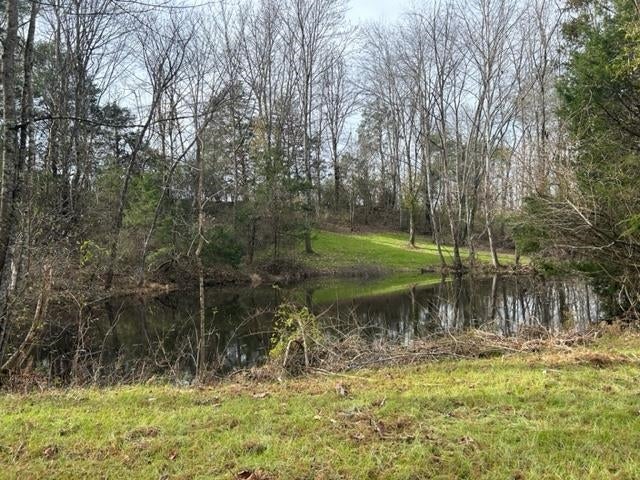 0 Mt Tussell Road Knifley, KY 42753 - Photo 45 of 46 Gallery Image 45