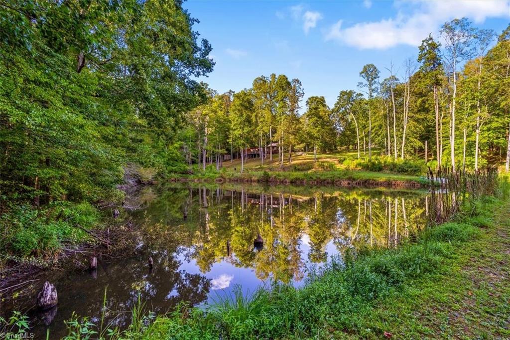 558 Throckmorton Road Madison, NC 27025 - Photo 31 of 48 Gallery Image 31
