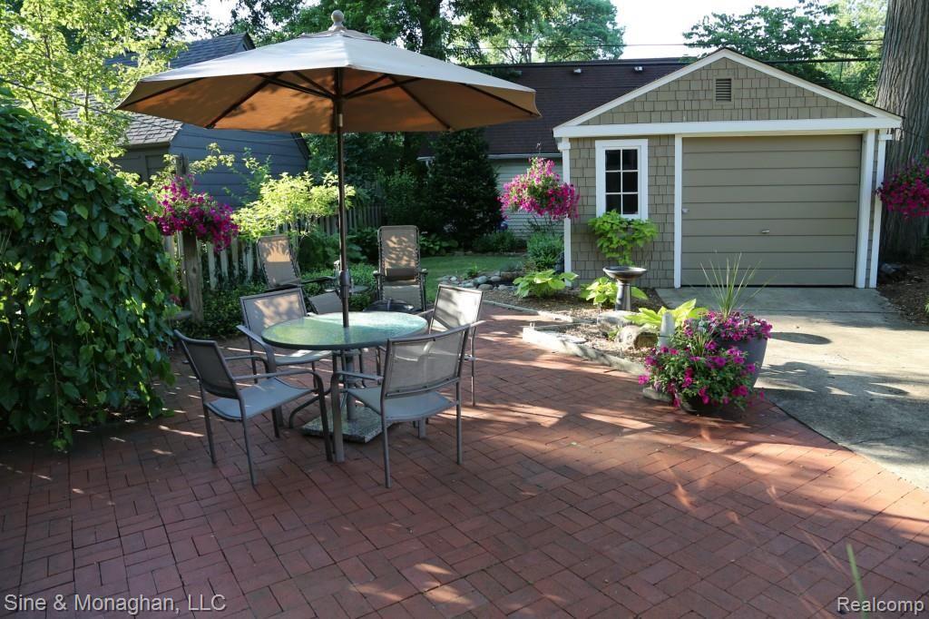 Backyard.jpg