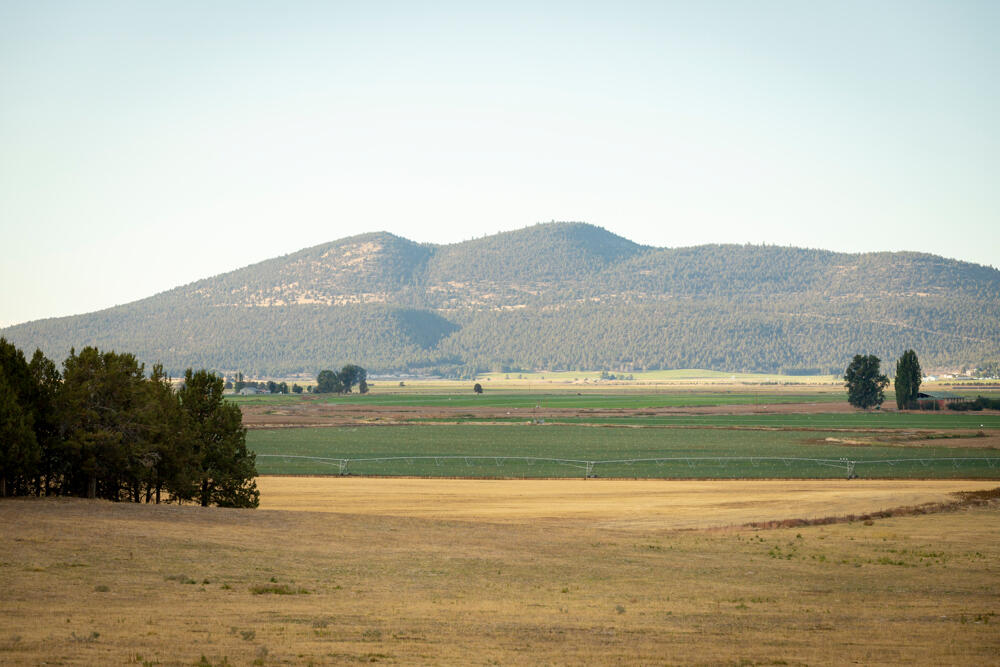 24624 Schaupp Road Klamath Falls, OR 97603 - Photo 57 of 62 24624SchauppRd.-105