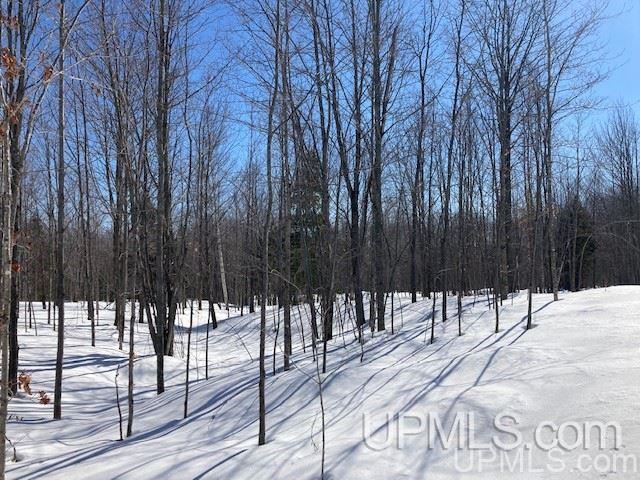 Tbd Worham Road Chassell, MI 49916 - Photo 32 of 45 Gallery Image 32