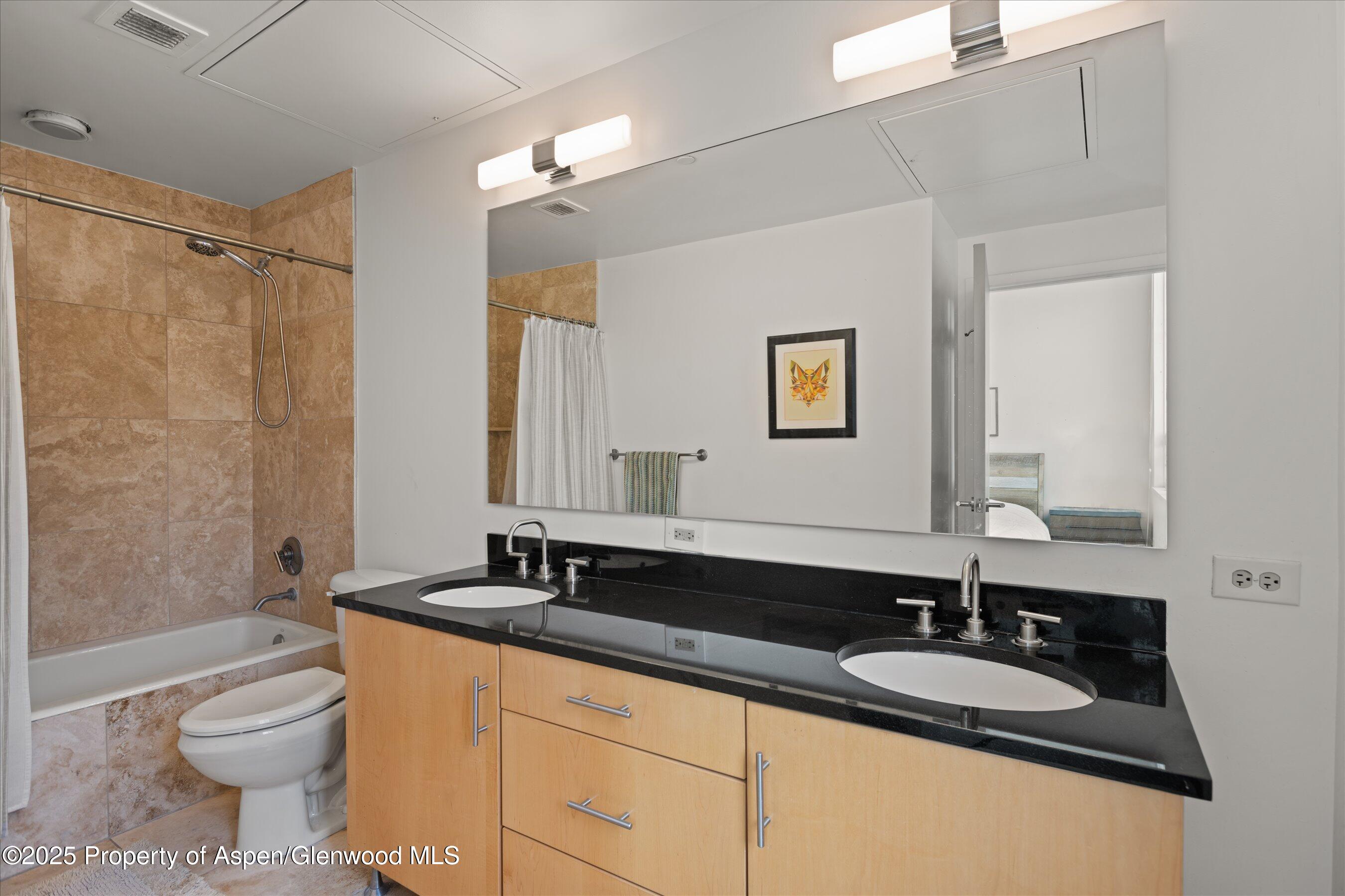 361 Robinson Street, Unit 308 Basalt, CO 81621 - Photo 15 of 23 a bathroom with a granite countertop sink mirror and a toilet