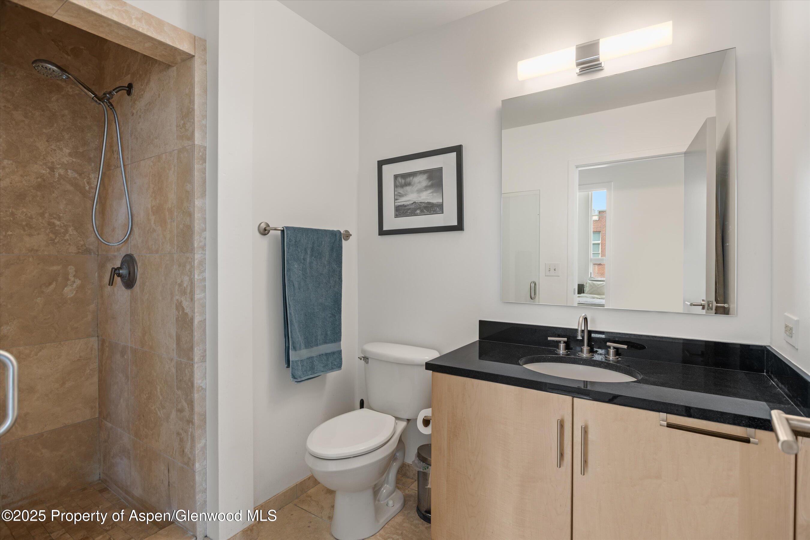 361 Robinson Street, Unit 308 Basalt, CO 81621 - Photo 17 of 23 a bathroom with a granite countertop sink toilet and shower