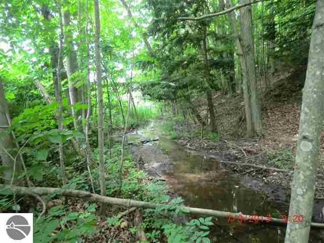 4068 Raymond Road Frankfort, MI 49635 - Photo 37 of 40