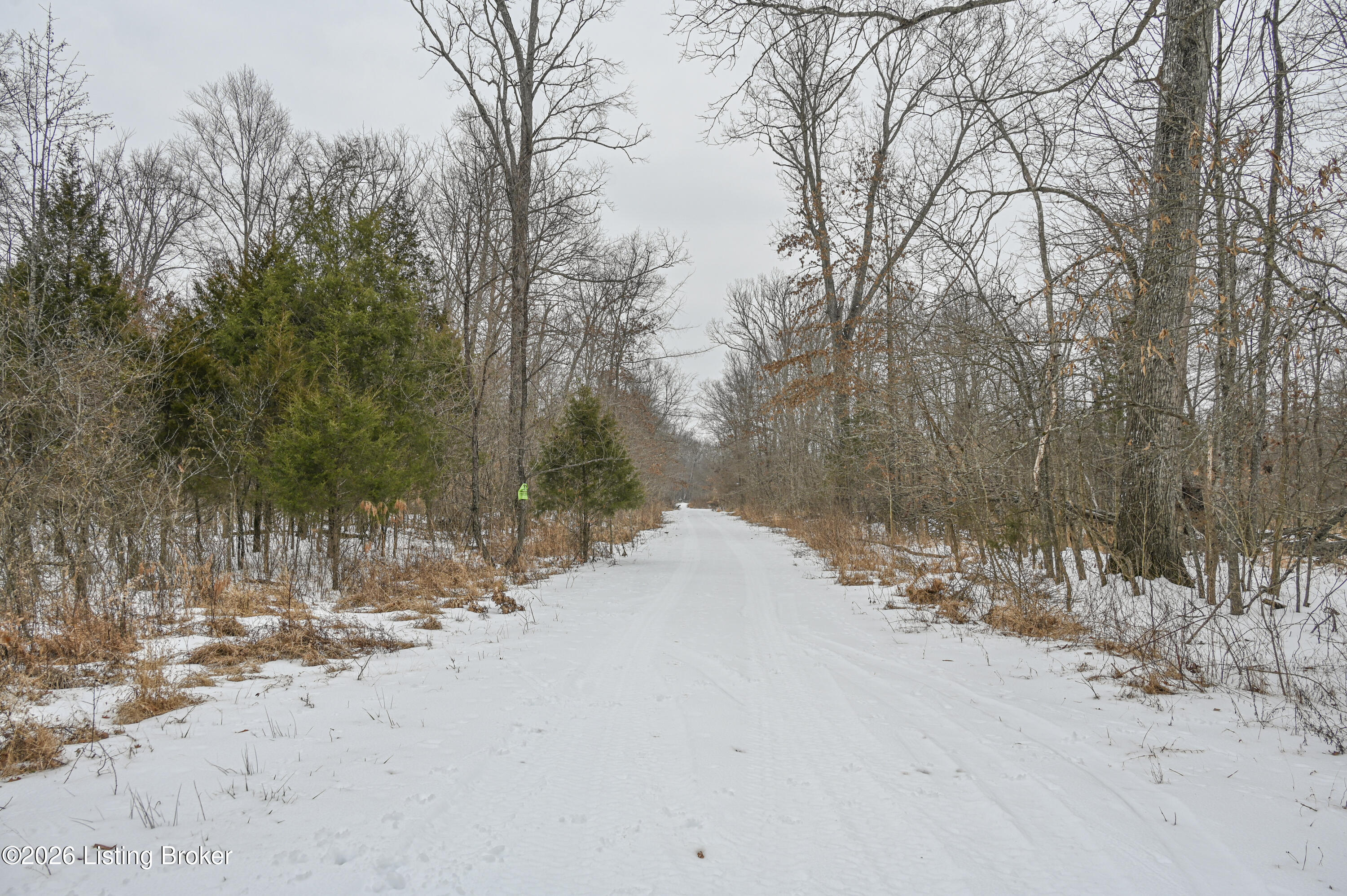 0 Stewart Road Lebanon Junction, KY 40150 - Photo 46 of 106 23-DSC_1528