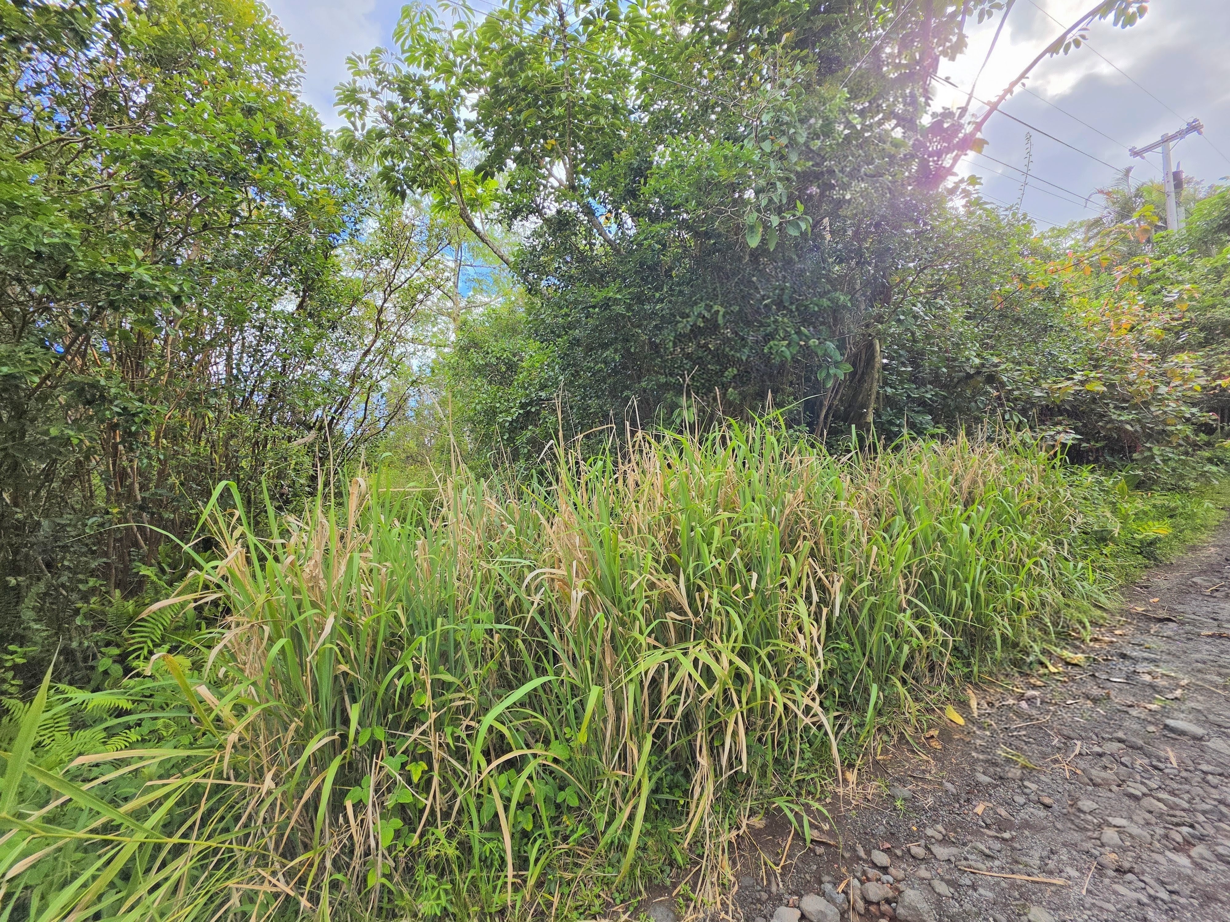 172 Aloha Road Pahoa, HI 96778 - Photo 8 of 11