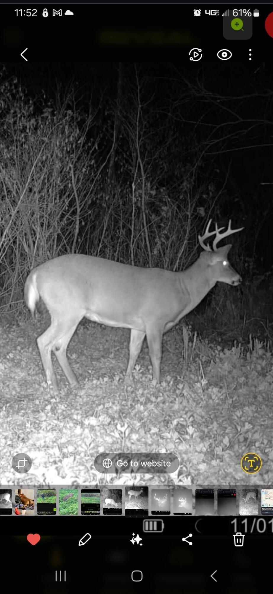 348 Hanson Road China, ME 04358 - Photo 28 of 28 1719211451864874494
