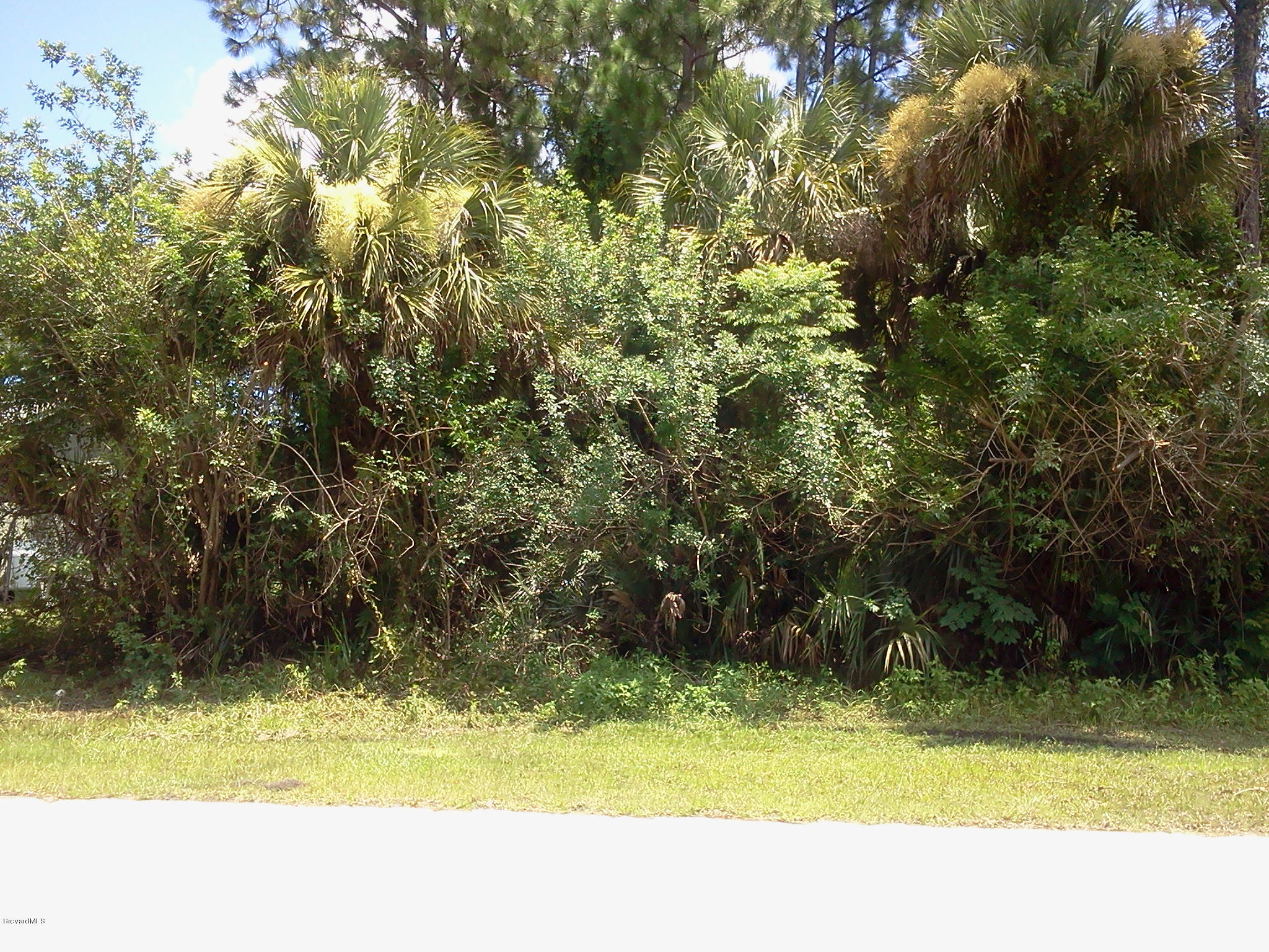 862 Walpole Road Southwest Palm Bay, FL 32908 - Photo 1 of 3 Front View