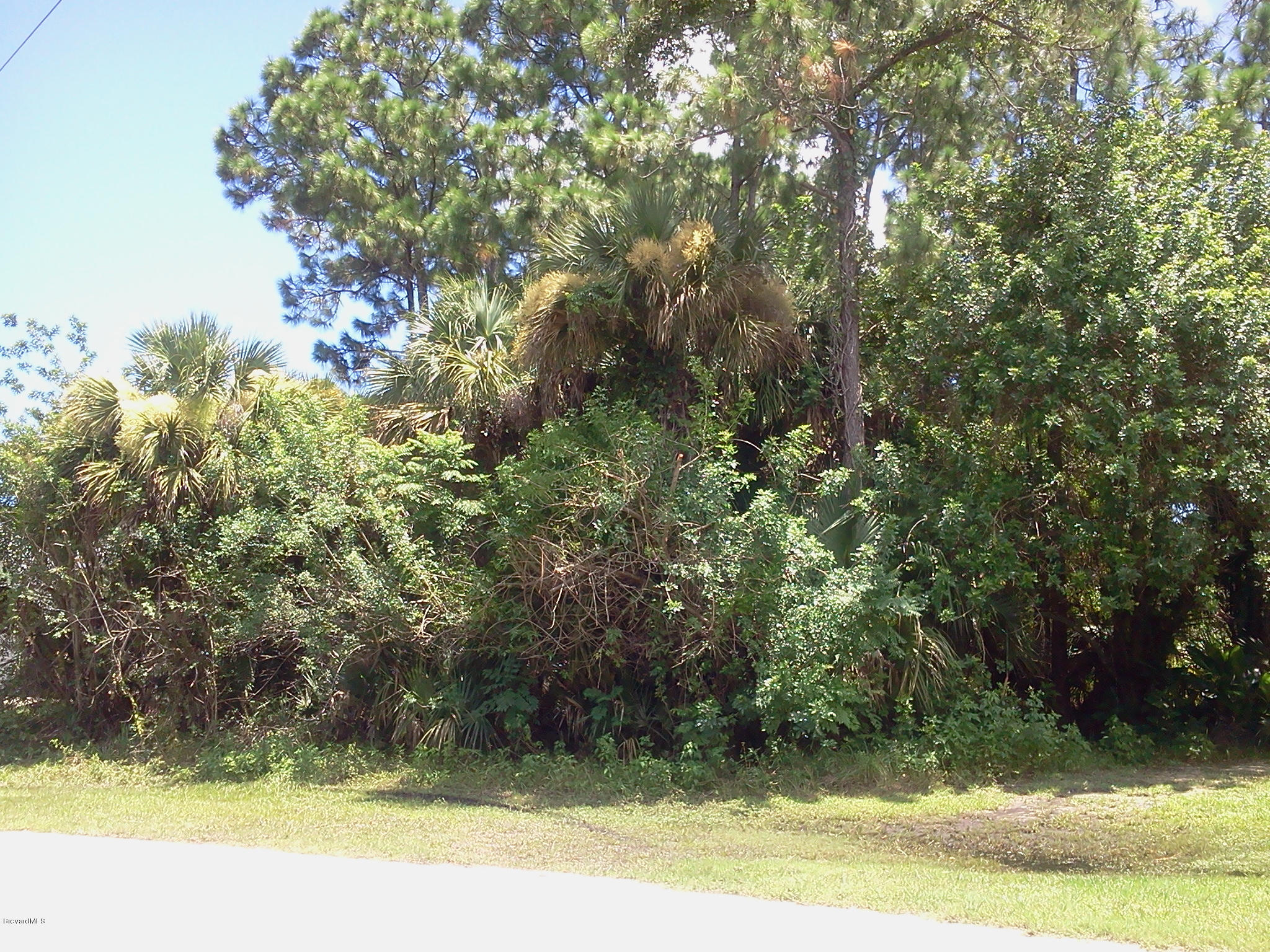862 Walpole Road Southwest Palm Bay, FL 32908 - Photo 3 of 3 View from the Right