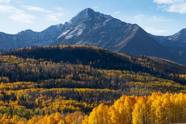 $1,200,000 | Lot C Posey Road, Placerville, CO 81430