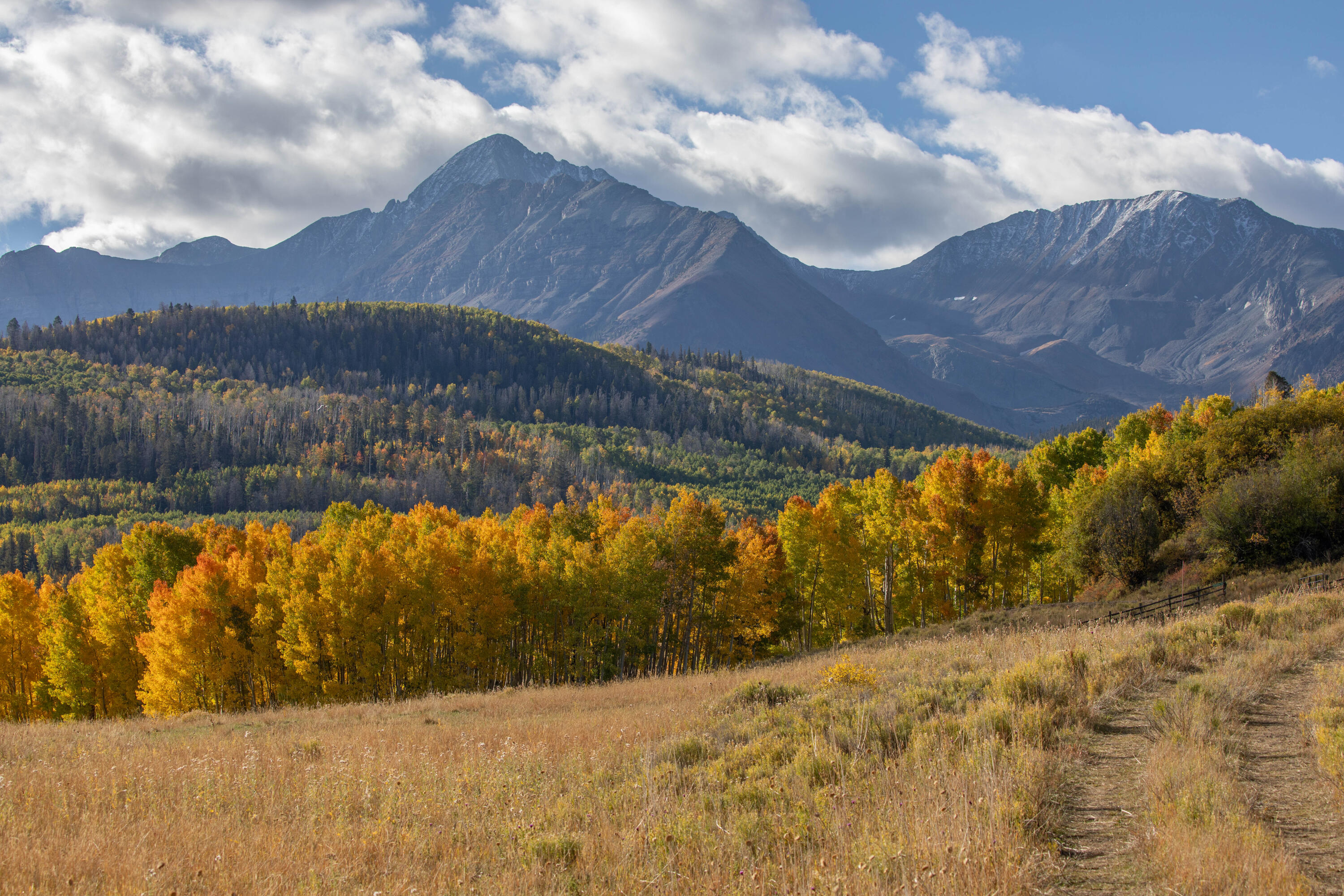Lot C Posey Road Placerville, CO 81430 - Photo 13 of 32 a view of swimming pool and mountain