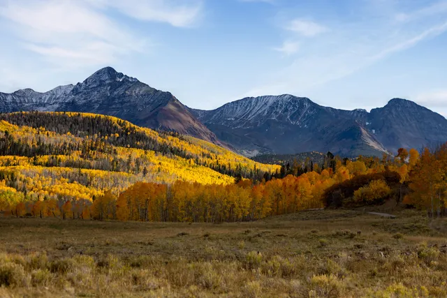 a view of a basketball court