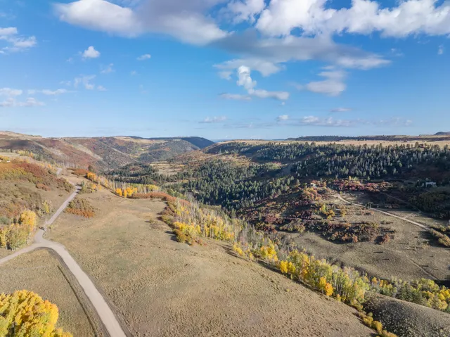 $1,200,000 | Lot C Posey Road, Placerville, CO 81430