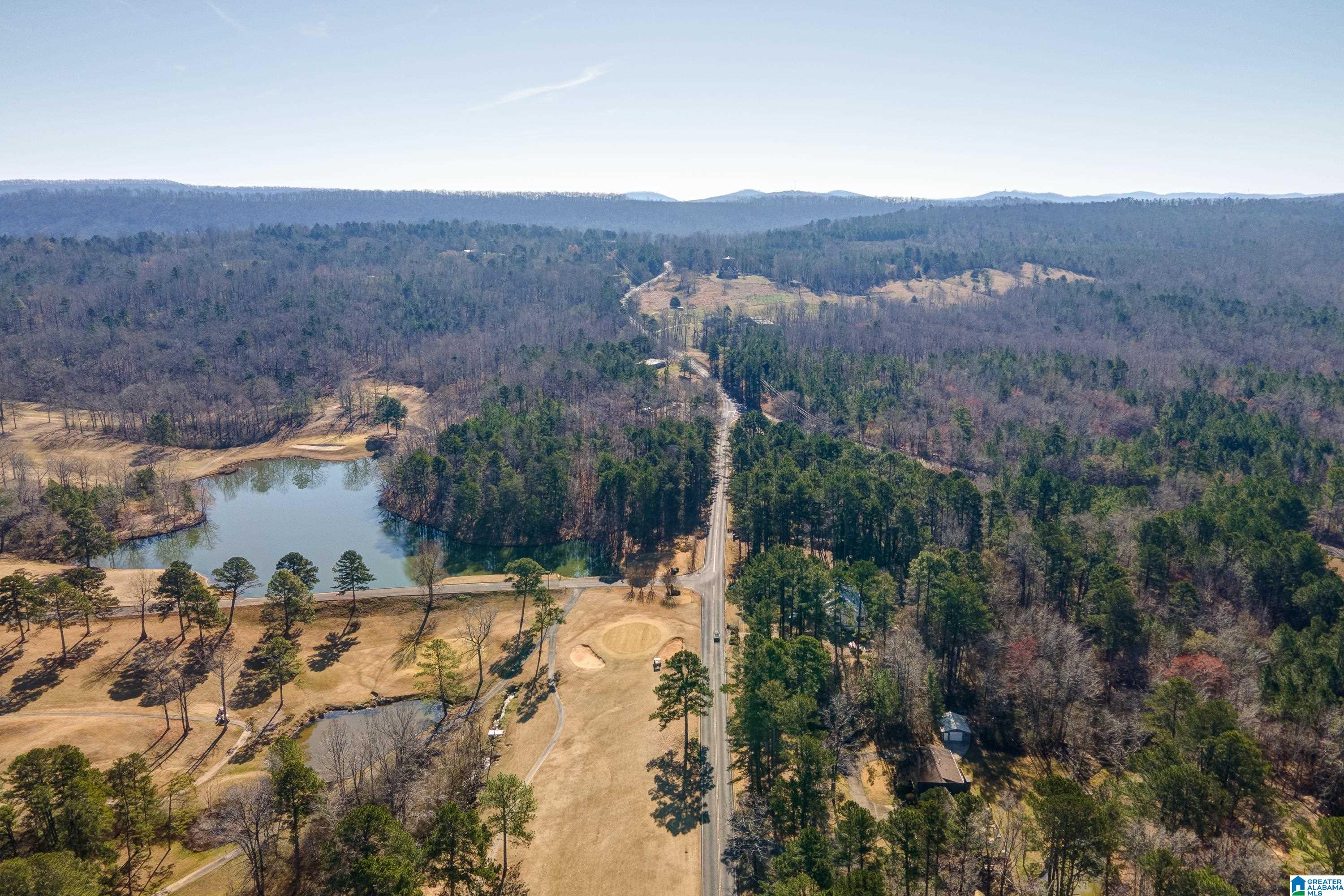 8970 Marsh Mountain Road Pinson, AL 35126 - Photo 48 of 48