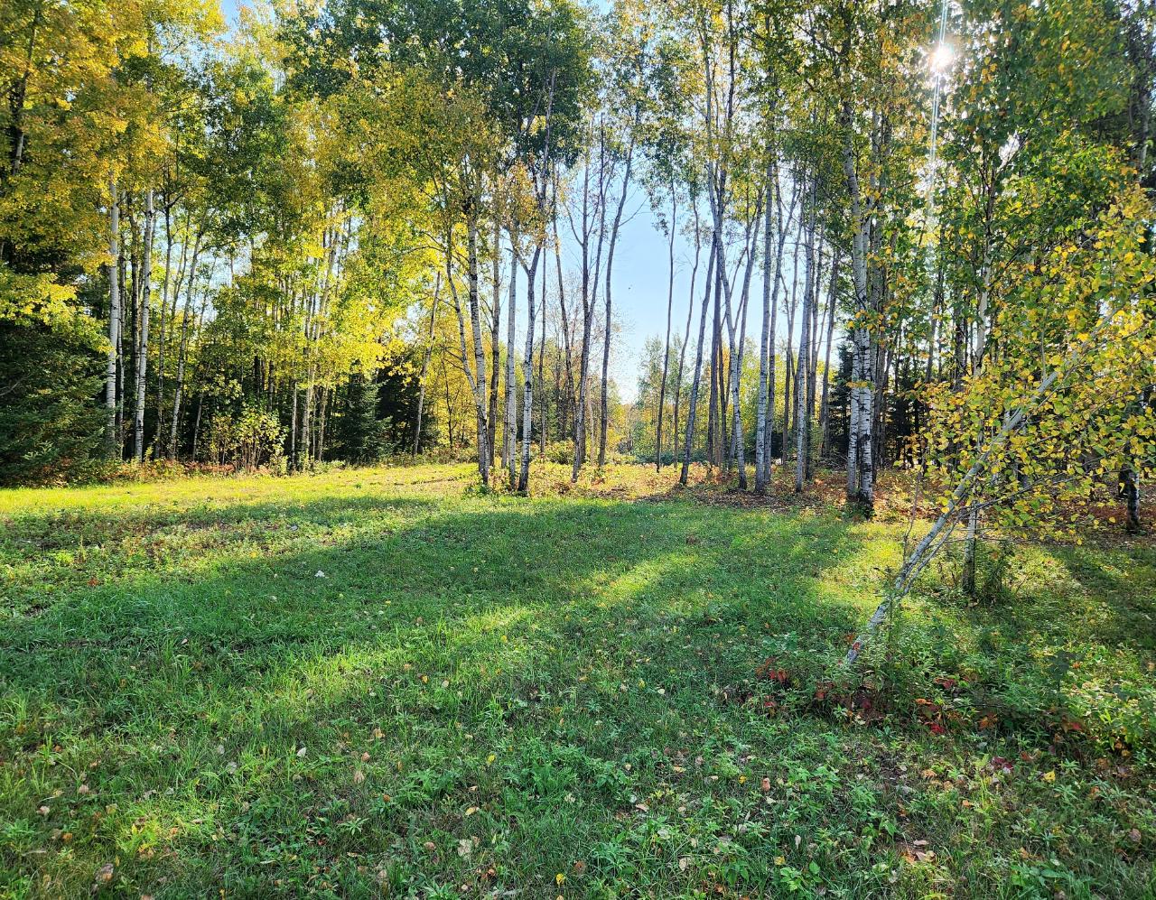 32 Shady Knoll Road Park Falls, WI 54552 - Photo 10 of 11 Gallery Image 10