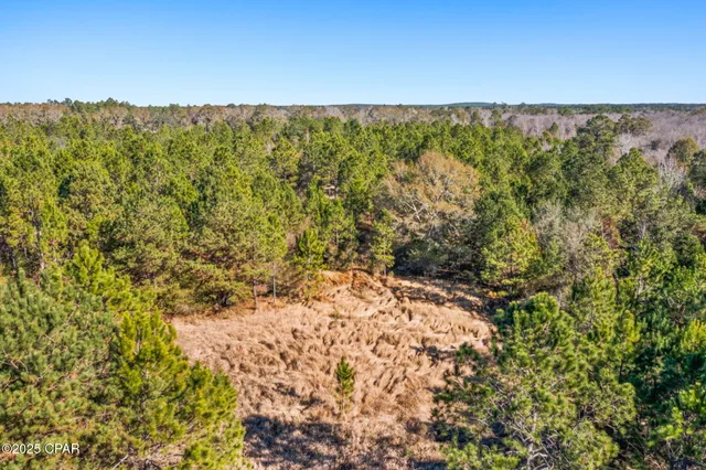 $229,999 | 2539 David's Road, Vernon, FL 32462