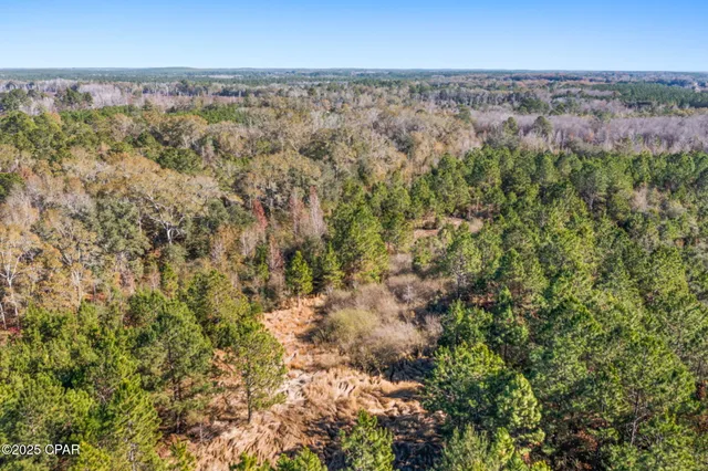 $229,999 | 2539 David's Road, Vernon, FL 32462