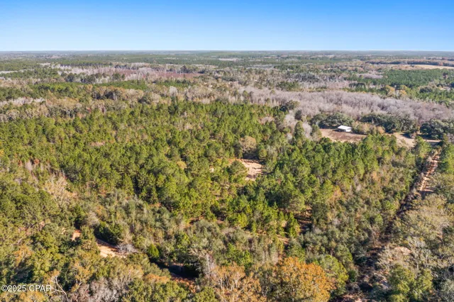 $229,999 | 2539 David's Road, Vernon, FL 32462