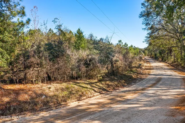 $229,999 | 2539 David's Road, Vernon, FL 32462