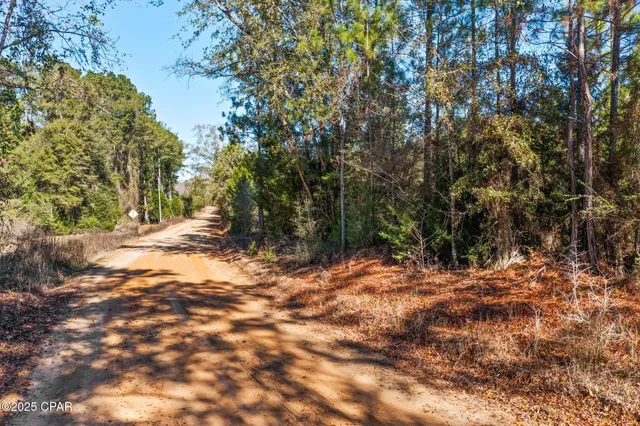 $229,999 | 2539 David's Road, Vernon, FL 32462